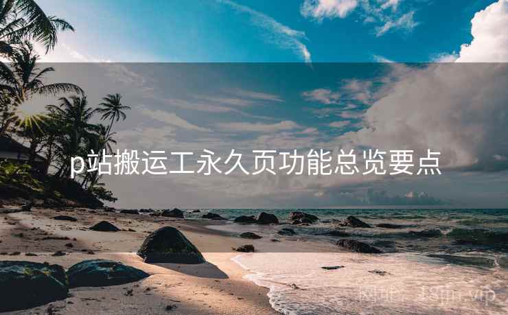 p站搬运工永久页功能总览要点