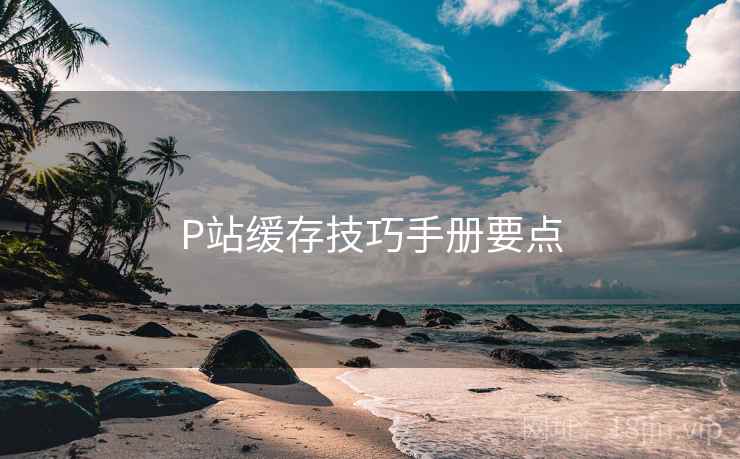 P站缓存技巧手册要点