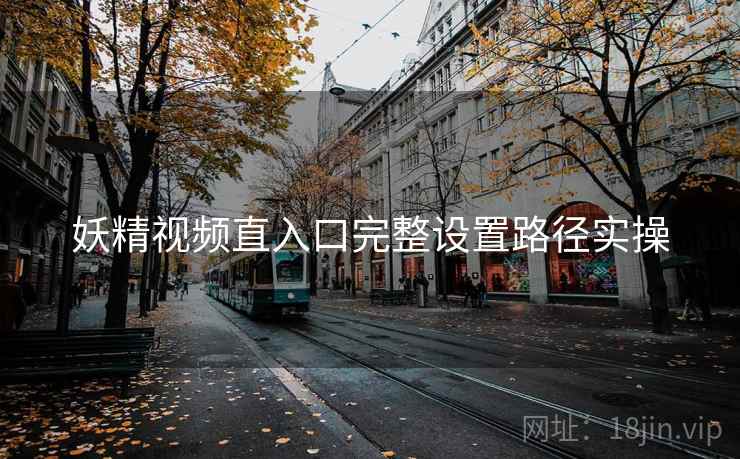 妖精视频直入口完整设置路径实操