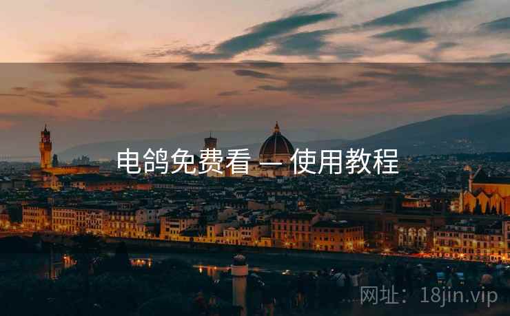 电鸽免费看 — 使用教程