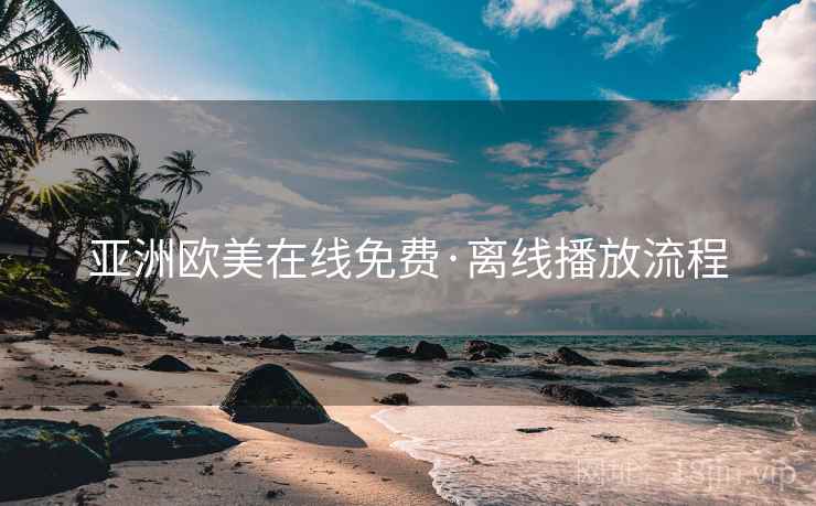 亚洲欧美在线免费·离线播放流程